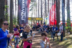D3S2538