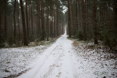Radzyminski-Trail-1